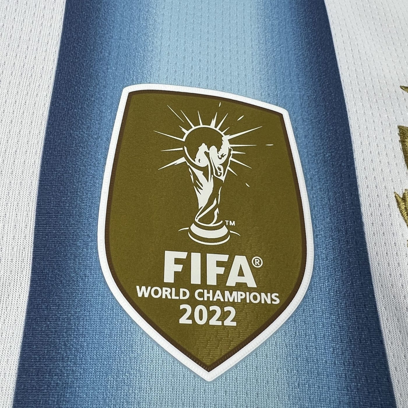 Argenitna 2026 Home Kit