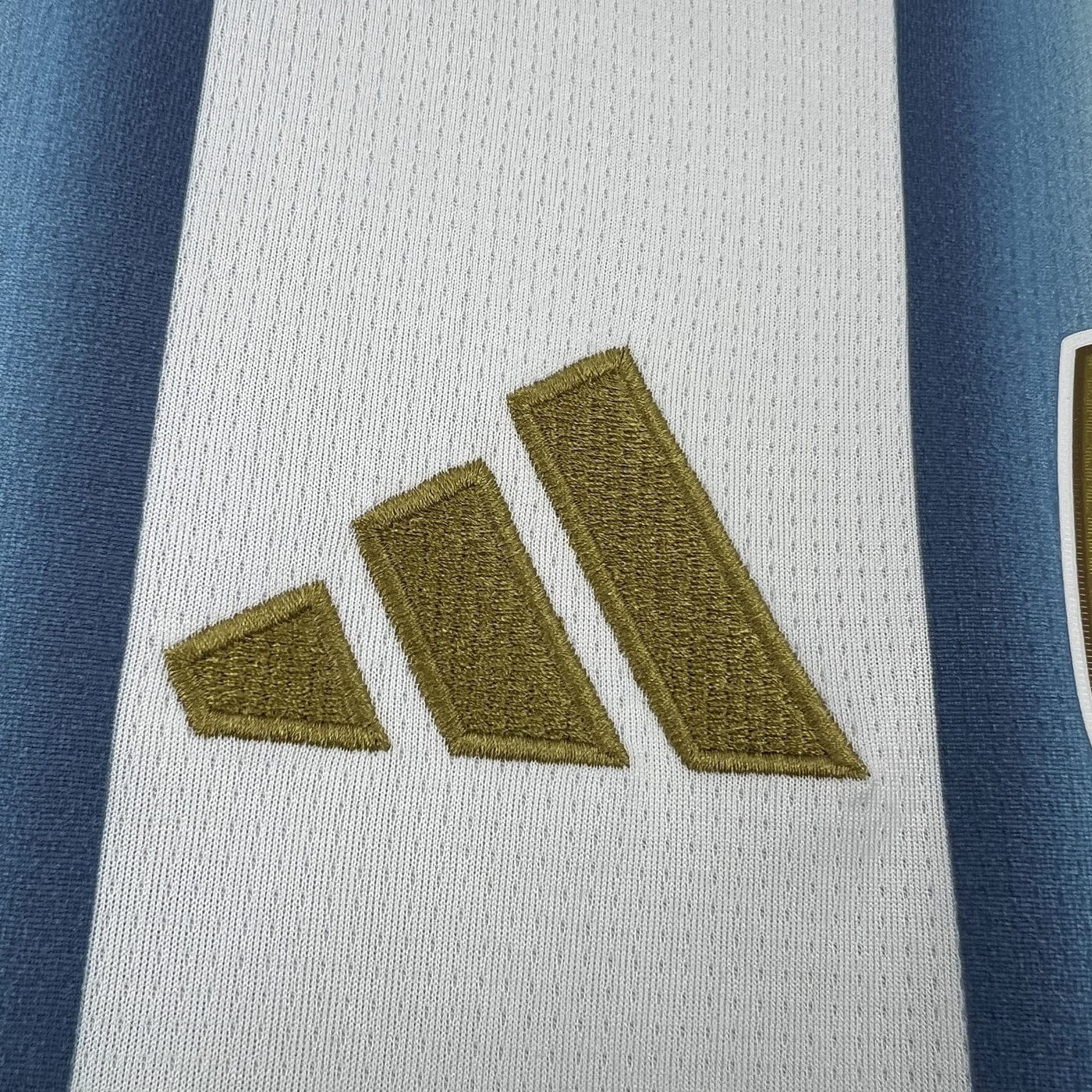 Argenitna 2026 Home Kit